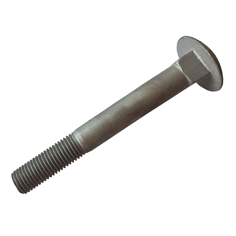 Carriage Bolts